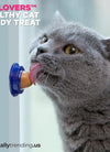 Cat Candy Treat