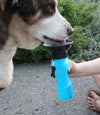 Pet Water Mug Dispenser