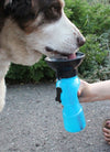 Pet Water Mug Dispenser