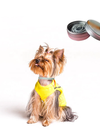 Petmate Anti Flea Collar - Small to Medium Dog