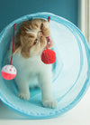 Cat Tunnel Toy Funny Pet 2 Holes Play Tubes Balls Collapsible Crinkle