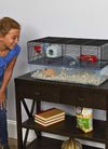 Hamster cage includes water bottle, exercise wheel food tray and