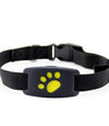 GPS Dog Collar