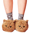 Lovely Plush Kitten Soft Slippers