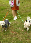 Dog Collars - 2 In 1 Dog Leash