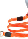 Dog Collars - 2 In 1 Dog Leash